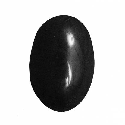 Shaligram in Tyrol